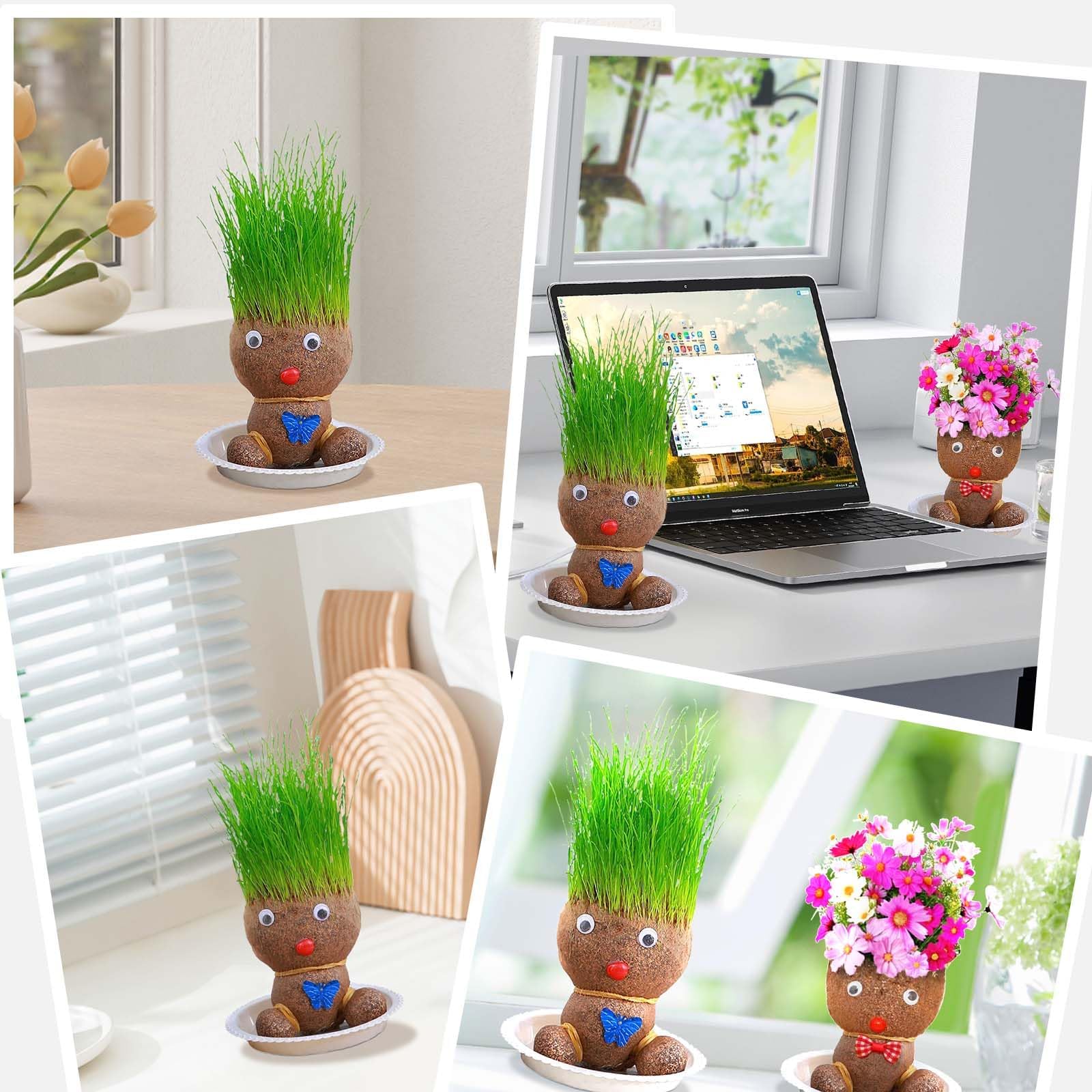 Tête d'herbe, tête de fleurs, tête d'herbe, plante de poupée, plante de poupée pour enfants, mini bonsaï herbe, tête de fleur, tête d'herbe, bonsaï, avec plateau, plantes en pot pour chambre