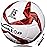 Senston Soccer Ball for Adult Training Ball Size 5 Official Match Football Balls with Pump