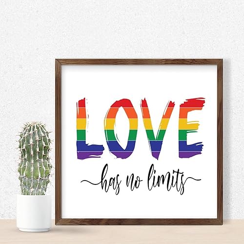 Love Has No Limits Wood Framed Printed Sign Wall Decorative Farmhouse Lesbian Gay Bisexual Transgender Asexual Signs Retro Wood Sign for Home