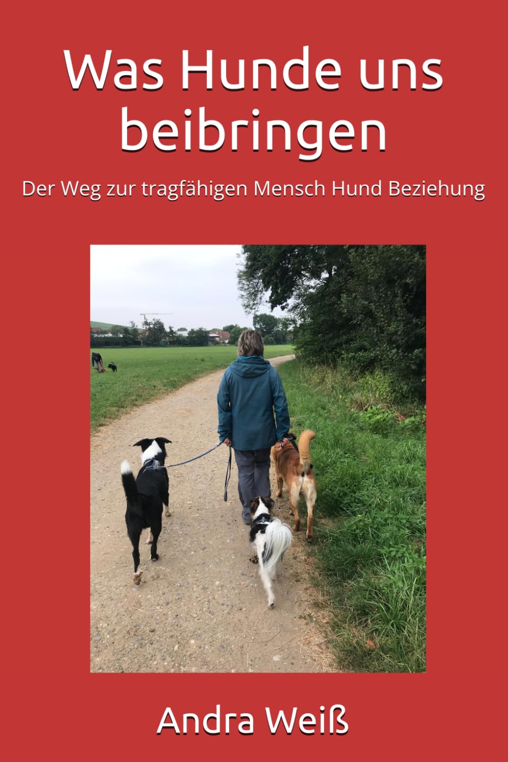Was Hunde uns beibringen: Der Weg zur tragfähigen Mensch Hund Beziehung