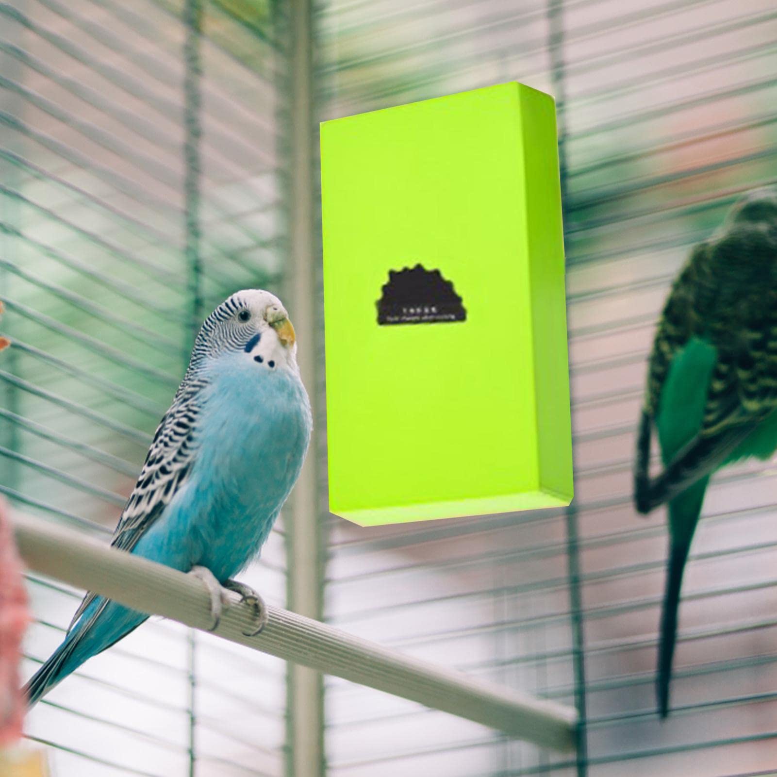 Eastuy Vogelverwarmer voor kooi Thermo Baars Verwarmde Vogelbaars Vogelkooi Verwarming Platformverwarmer voor Afrikaanse grijze parkieten en papegaaien Eastuy Eastuy Vogelverwarmer voor kooi Thermo Baars Verwarmde Vogelbaars Vogelkooi Verwarming Platformverwarmer voor Afrikaanse grijze parkieten en papegaaien Eastuy