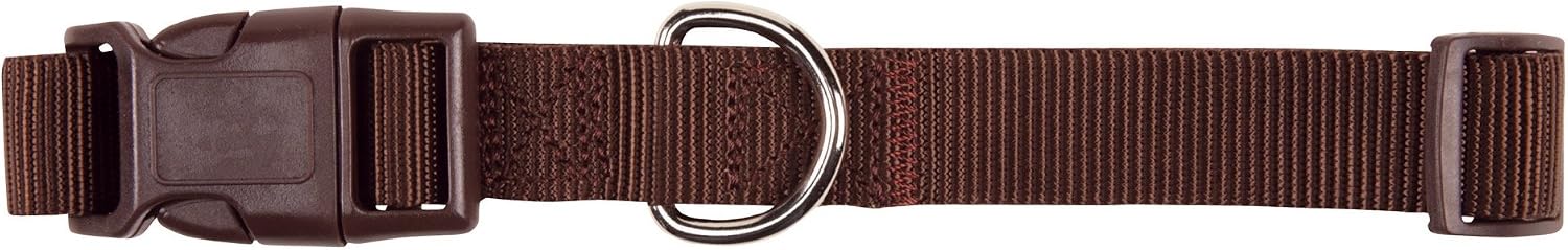 Zack & Zoey ⅝" Wide Nylon Dog Collar, Fits Necks 14" to 20", Raspberry Sorbet