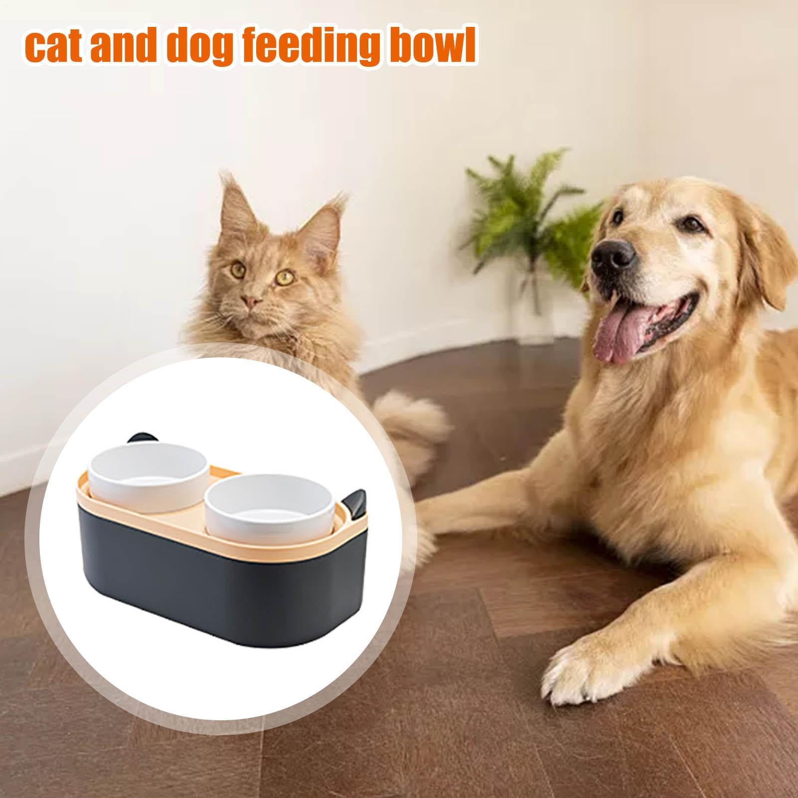Accessoires de pour chien – Gamelle pour chiot ¦ Station
