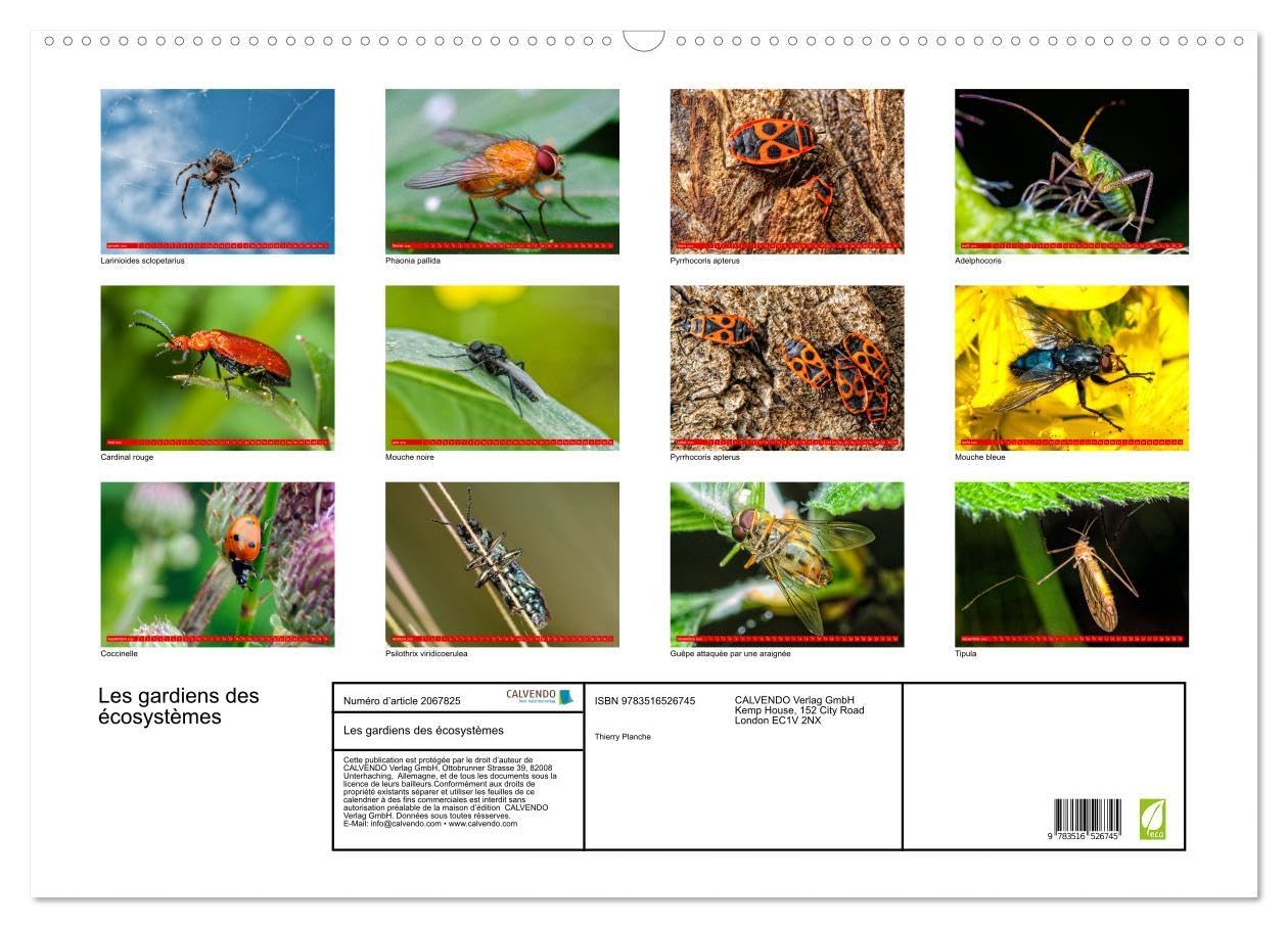 Les gardiens des écosystèmes (Calendrier mural 2026 DIN A2 vertical), CALVENDO calendrier mensuel: Rôle crucial des insectes régulateurs dans le maintien de l'équilibre écologique.
