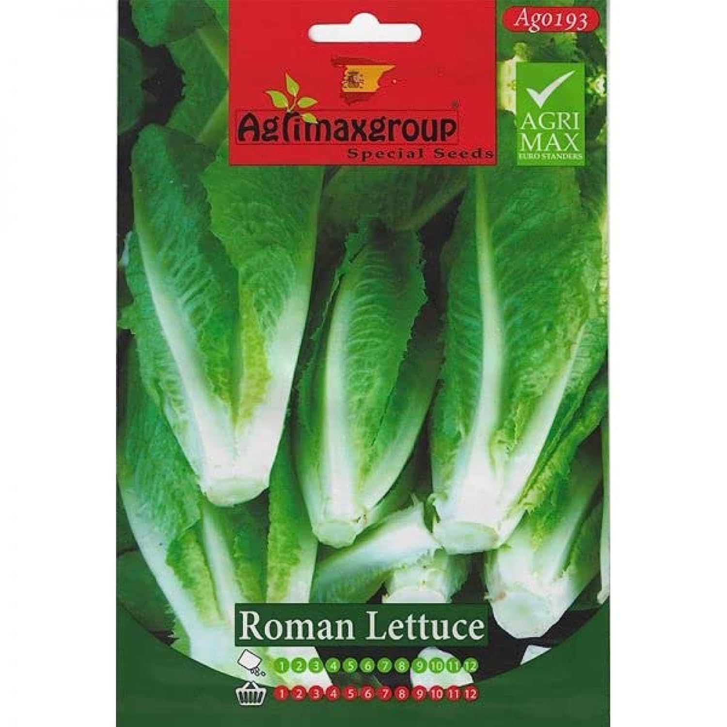 Roman Lettuce Premium Quality Seeds by Agrimaxgroup®"Garden Care"