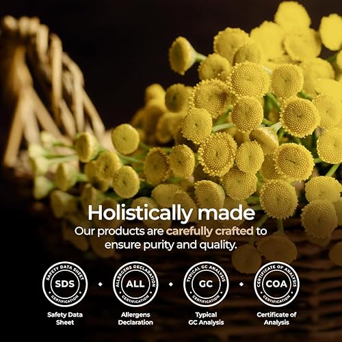 Vista 251 de Gya Labs - Aceite esencial de vainilla oleorresina para aliviar el estrés, relajación, sueño, aceite de vainilla francesa dulce para mayor