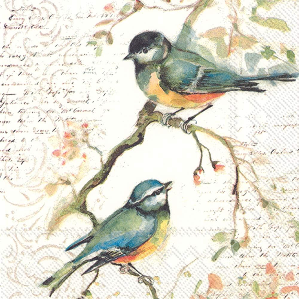 Boston International C811100 IHR Cocktail Beverage Paper Napkins, 5 x 5-Inches, Happy Little Titmice