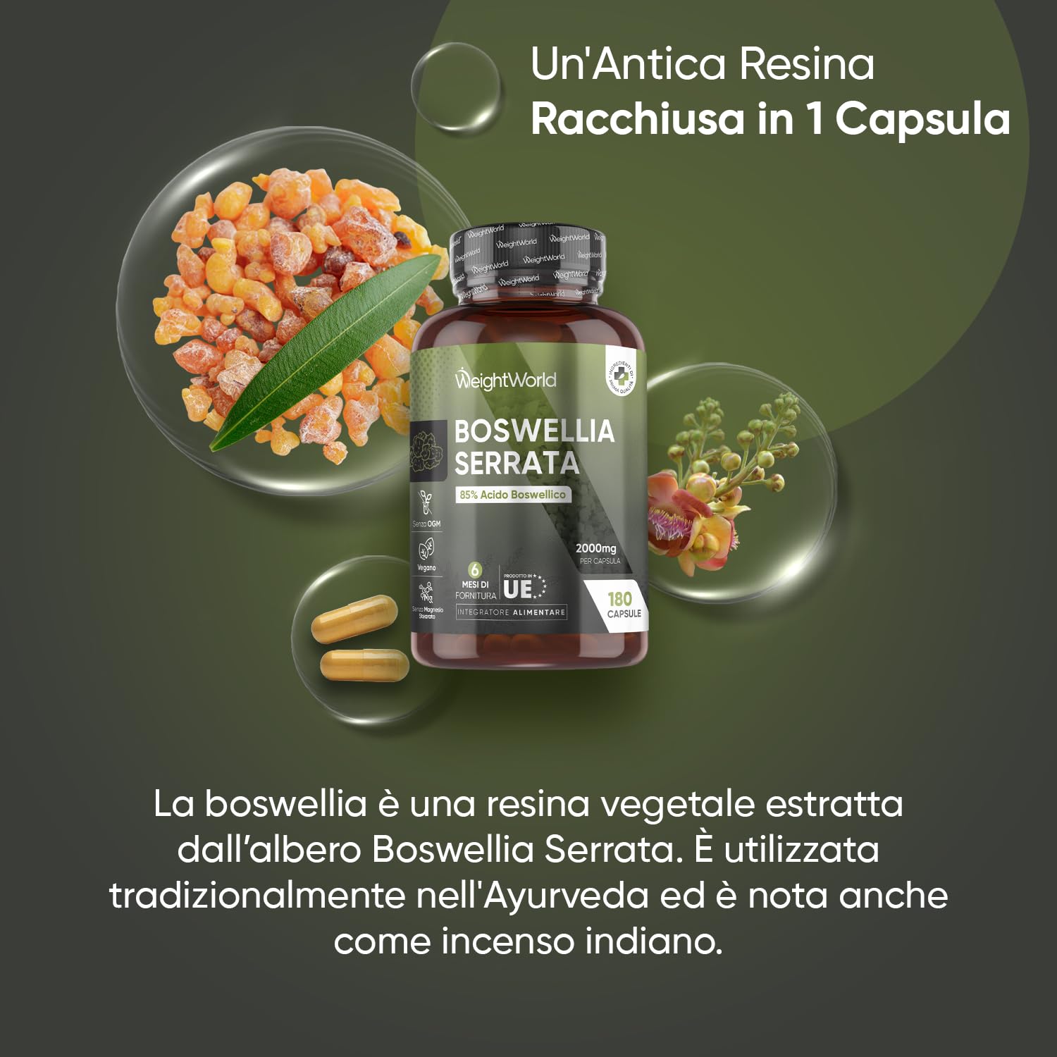 Boswellia Serrata WeightWorld, 180 Capsule Vegane (6 Mesi) da 2000mg, 85% Acidi Boswellici, Estratto 5:1, 1 Sola Capsula al Giorno, Boswellia Integratore, Senza Magnesio Stearato, Prodotto in Europa