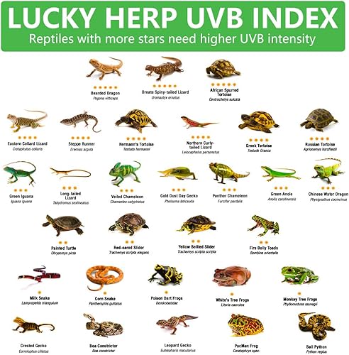 Miniatura 7 de LUCKY HERP 36inch 30W T8 UVB 5.0 Reptile Light, UVA UVB Bulb, lámpara fluorescente para reptiles anfibios