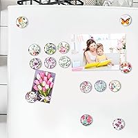 Vista 4 de MORCART 30 imanes para refrigerador, imanes para nevera, calcomanías de flores para decoración de nevera, imanes para nevera de cocina, pizarra