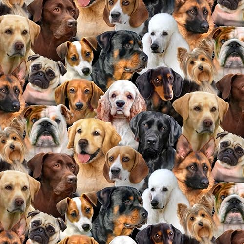 Miniatura 2 de GRAPHICS & MORE Rollos de papel de regalo con diseño de perro salchicha perro salchicha y caniche