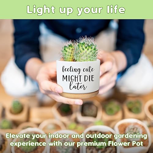 Miniatura 6 de Divertida maceta para suculentas, bonita maceta pequeña de cerámica de 3.5 pulgadas con drenaje, maceta de escritorio de oficina en casa para