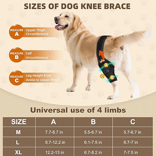 Miniatura 2 de Rodilla de perro Articulación de Metal Soporte Soporte Rehabilitación Muscular Limitación Articulación Estabilizar Doblado, Aliviar el Dolor ACLCCL,