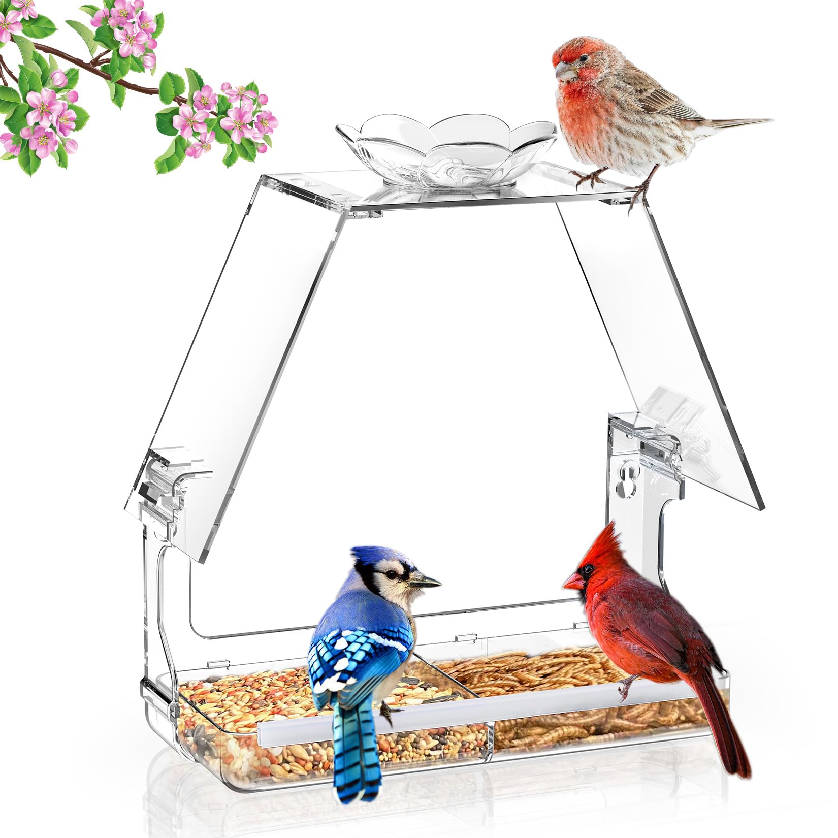 WENMIXER Comedero para pájaros con ganchos autoadhesivos que no dejan marcas, transparente y transparente, regalo de observación de aves silvestres al aire libre, decoración de jardín (casa)