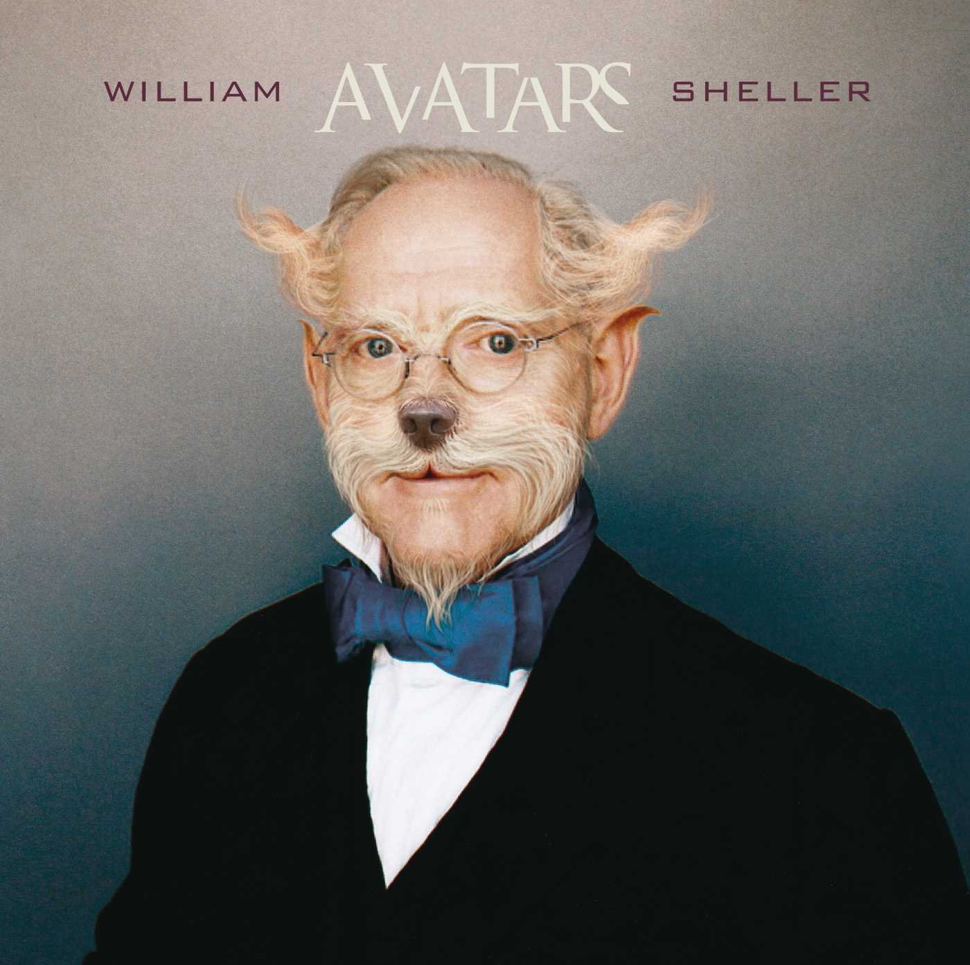 Avatars [Audio CD] William Sheller; Xavier Tribolet; Patrice Tison; Jean Michel Tavernier; Stéphane Guillaume; Sylvain Luc; Dominic Miller and Pierre Olivier Govin