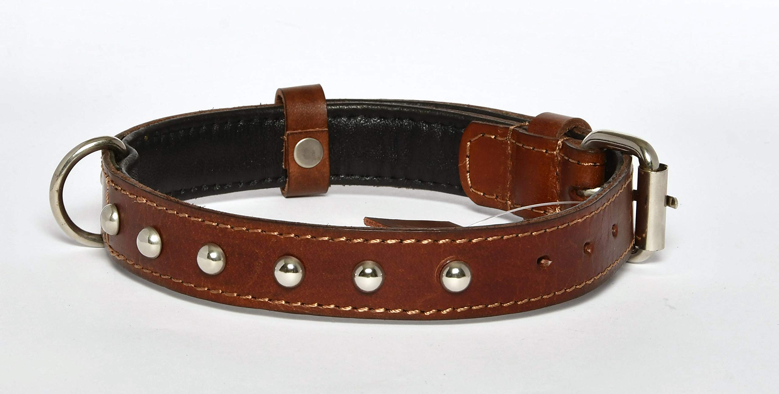 See full amazon price history chart for Patch & Marshall Designer Studs Leather Dog Collar Neck Belt Soft Touch Padding - Bio degradable - Medium & Large Dogs - Neck Size 15 to 20 inches Only, Brown Patch & Marshall Designer Studs Leather Dog Collar Neck Belt Soft Touch Padding - Bio degradable - Medium & Large Dogs - Neck Size 15 to 20 inches Only, Brown (B08P1YQ189) Amazon Price History, Amazon Price Tracker