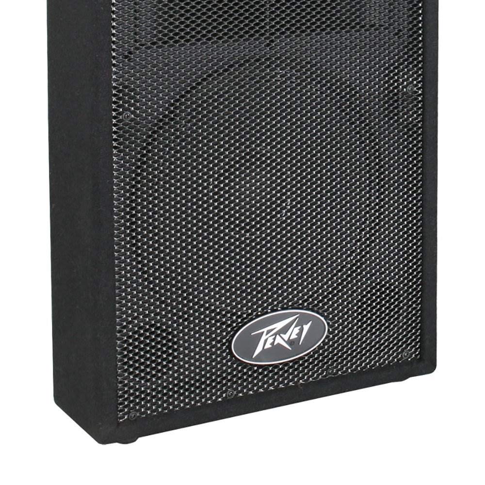 Amazon.com: Peavey DJ 2-Way 100 Watt PA Speaker System with 10