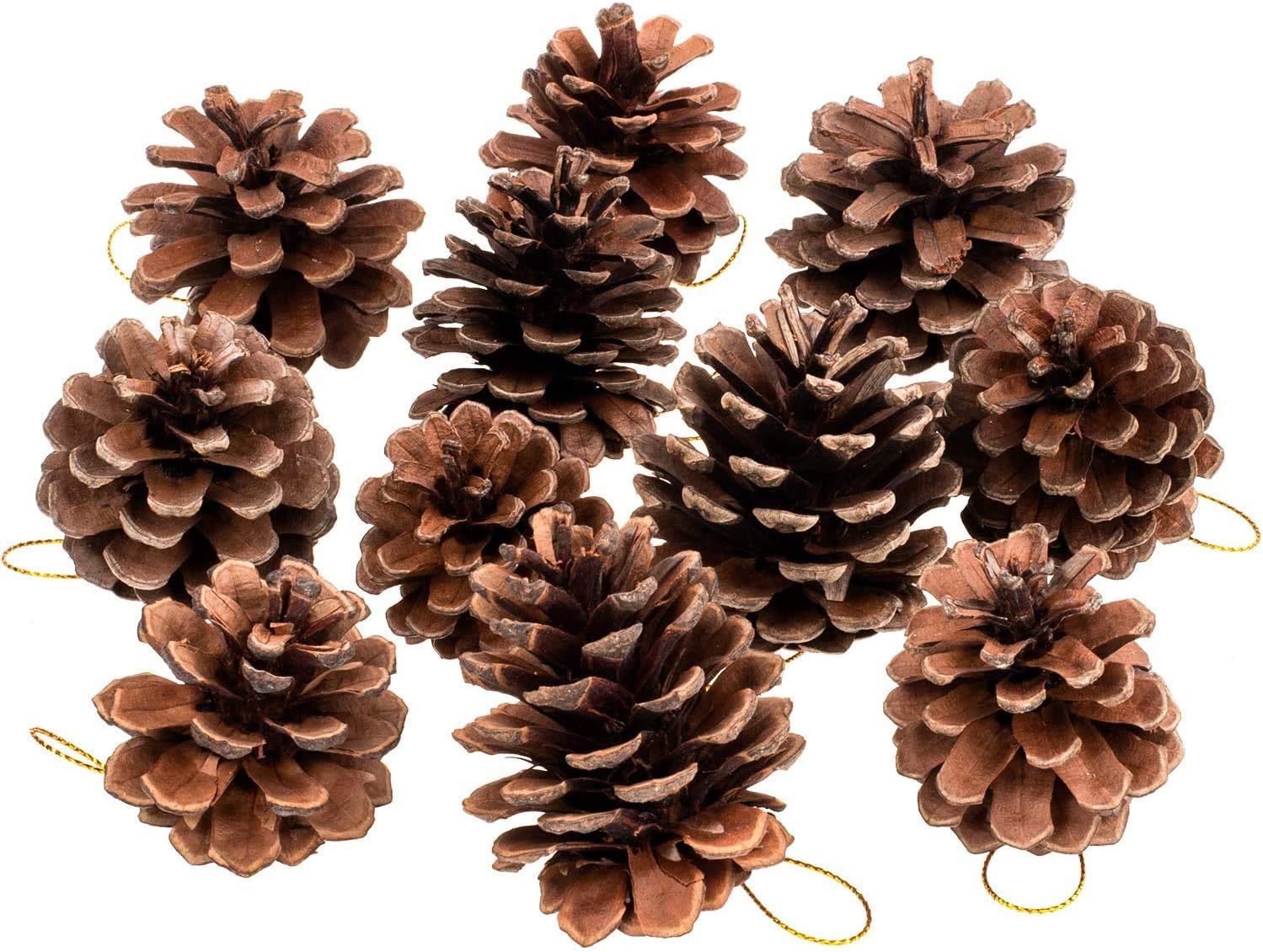 Whaline 25 Pcs 1.6-2.4 Inches Christmas Pine Cones Decoration with String, Natural Rustic Pinecones Bulk Ornaments for Crafting for Home Accent Decor, Fall Thanksgiving Tree Decoration