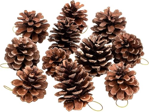 Whaline 25 piezas de conos de pino de Navidad de 1.6 a 2.4 pulgadas con cuerda, piñas rústicas naturales a granel adornos para manualidades para