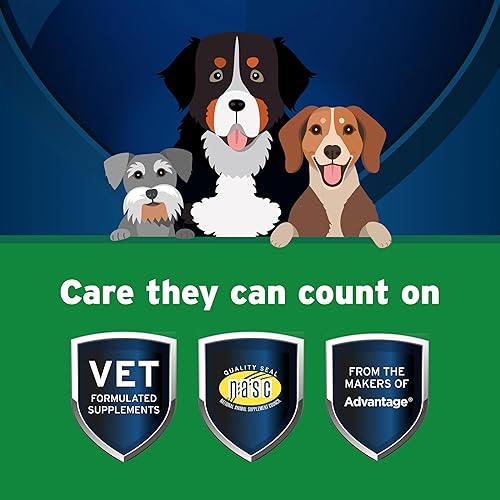 Miniatura 4 de Pet Protect Suplemento de salud digestiva con probióticos para perros, lactoquilo formulado por veterinarios, masticables suaves con sabor a pollo