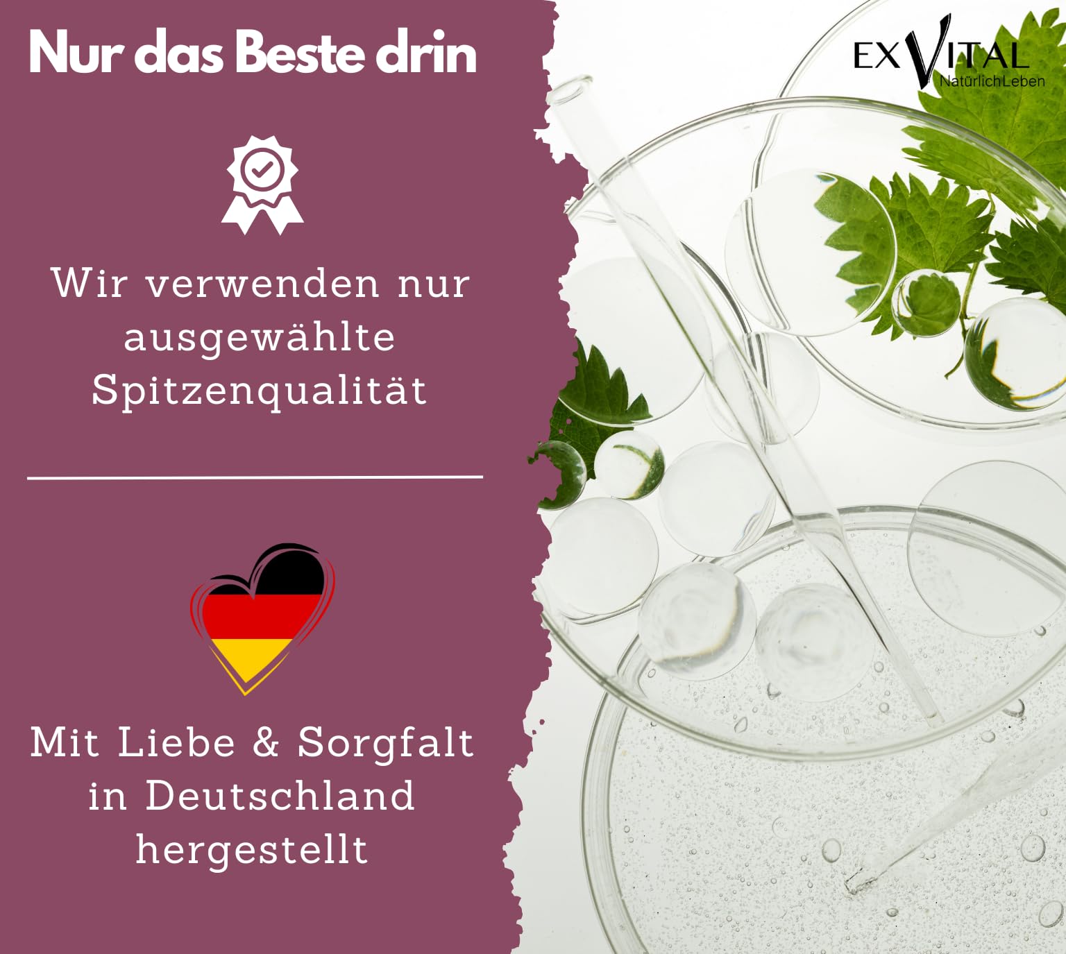Inositol, ideal kombiniert mit Folsäure, 180 Tabletten, reines Myo-Inositol, hochdosiert: 2000 mg Inositol & 400 μg Folsäure pro Tag, vegan & ohne Zusätze! (Packung mit 2)