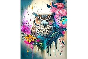 Painting Owl By Numbers, Unleash Your Inner Artist!