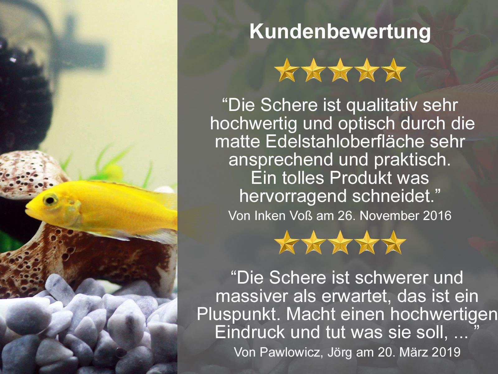 Profi Aquarium Terrarium Schere Pflanzenschere Gerade Ausführung Edelstahl rostfrei (45,0 cm) - 5