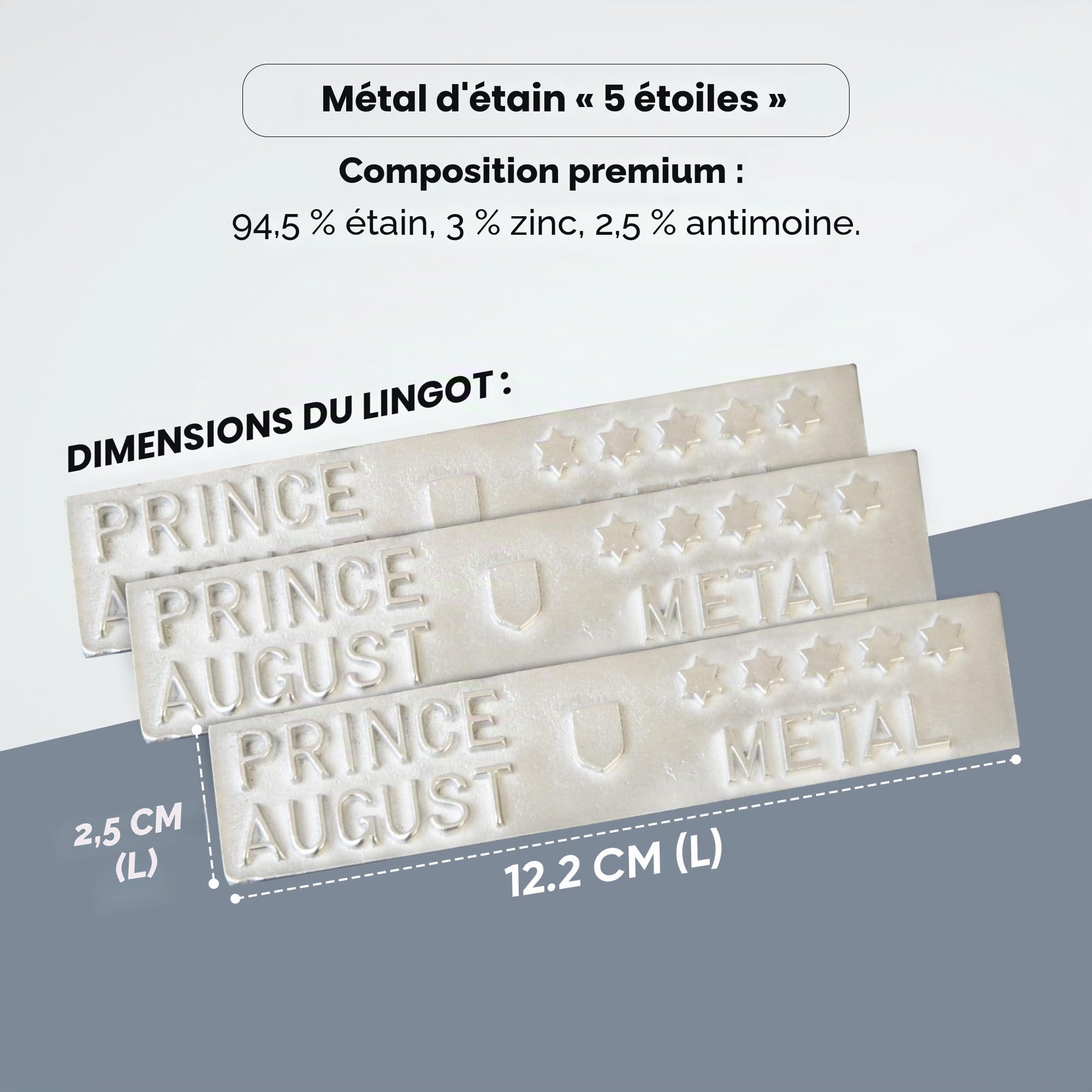 Prince August 5-Star PA2101 Lot de 10 lingots en étain 800 g