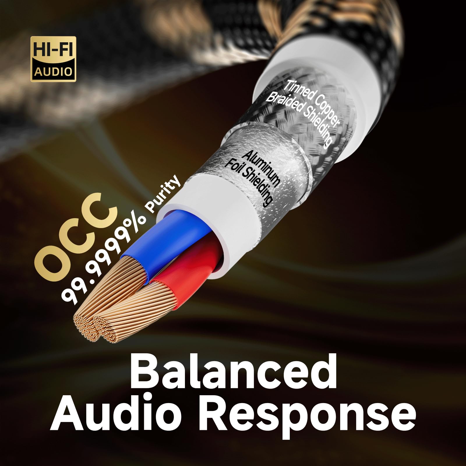 TODN XLR Kabel (3m, 2-Stück), OCC-Leiter | XLR Symmetrisch Audio kabel, 3-poligen Goldbeschichtete XLR Stecker, für Studio-Recorder, Mixer