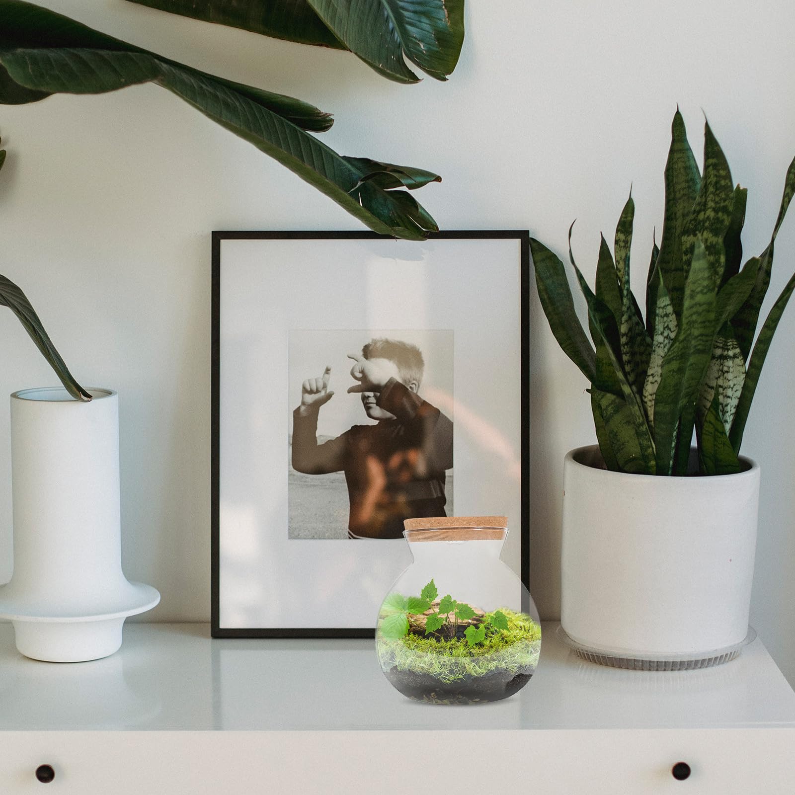 Abaodam Terrario in Vetro con Base a Luce Led, Piccolo Contenitore per Piante da Interno, Kit Fai-da-te per Micro-ecosistema Paesaggistico da Scrivania.
