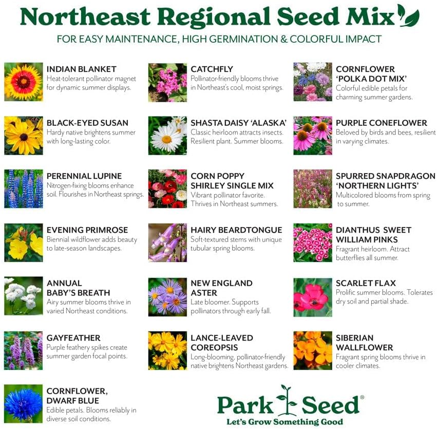 Park Seed Grow Your Own Vibrant Annual and Perennial Wildflower Garden Seeds Mixture, Easy to Grow Varieties for Pollinators and Spring Gardens - Northeast Regional Mix, 1 lb
