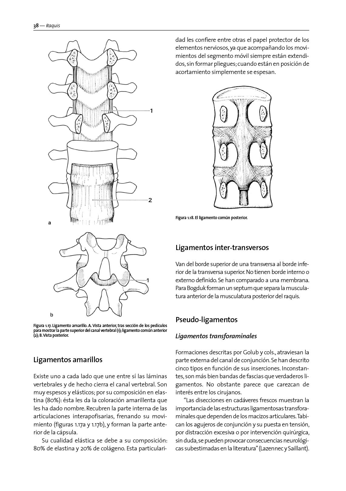 Método Maigne. Medicina Ortopédica Manual