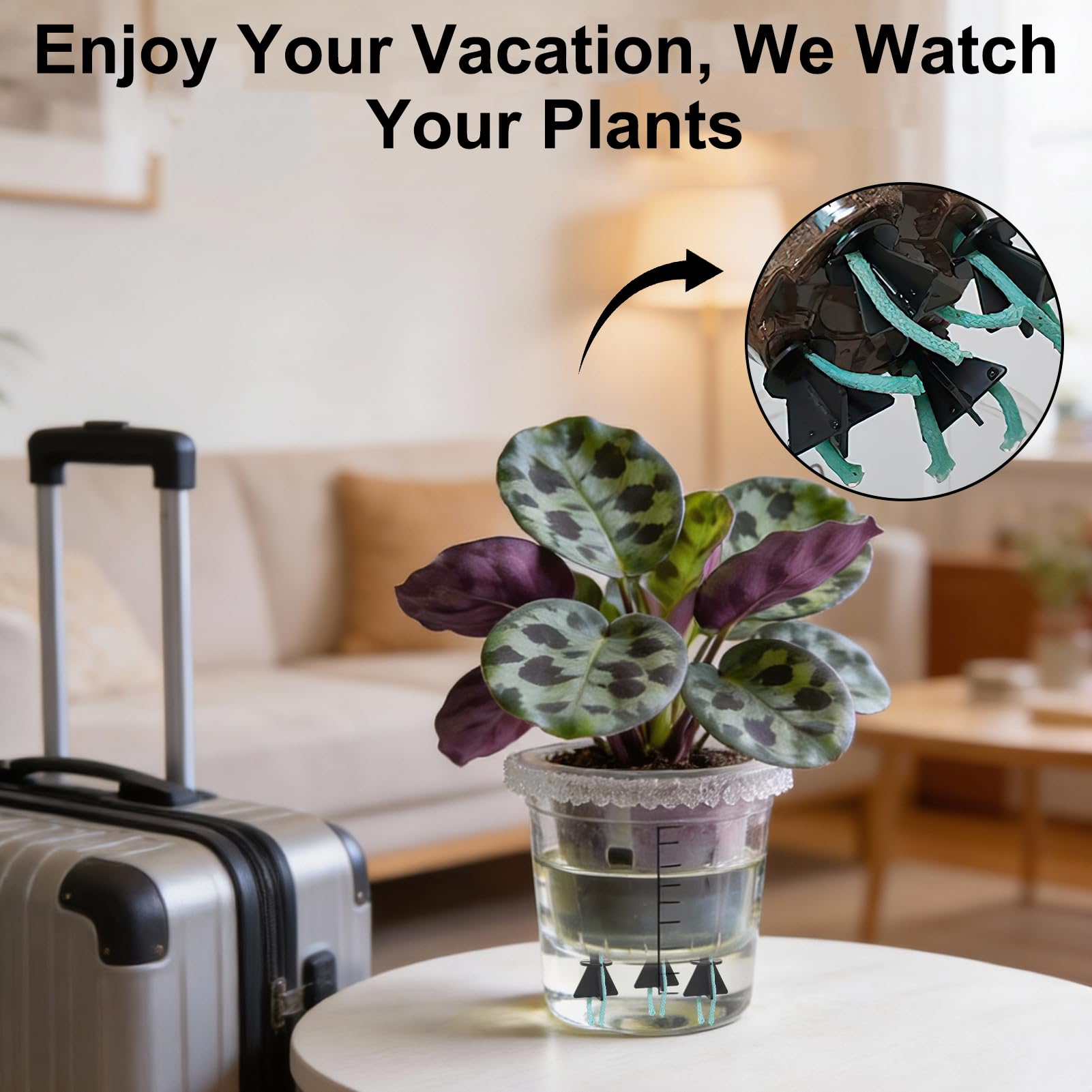 Paquete de 12 picos de riego automático para plantas de interior y exterior, dispositivos automáticos de riego de plantas con cable de absorción, sistema de riego de vacaciones, kit de riego por goteo