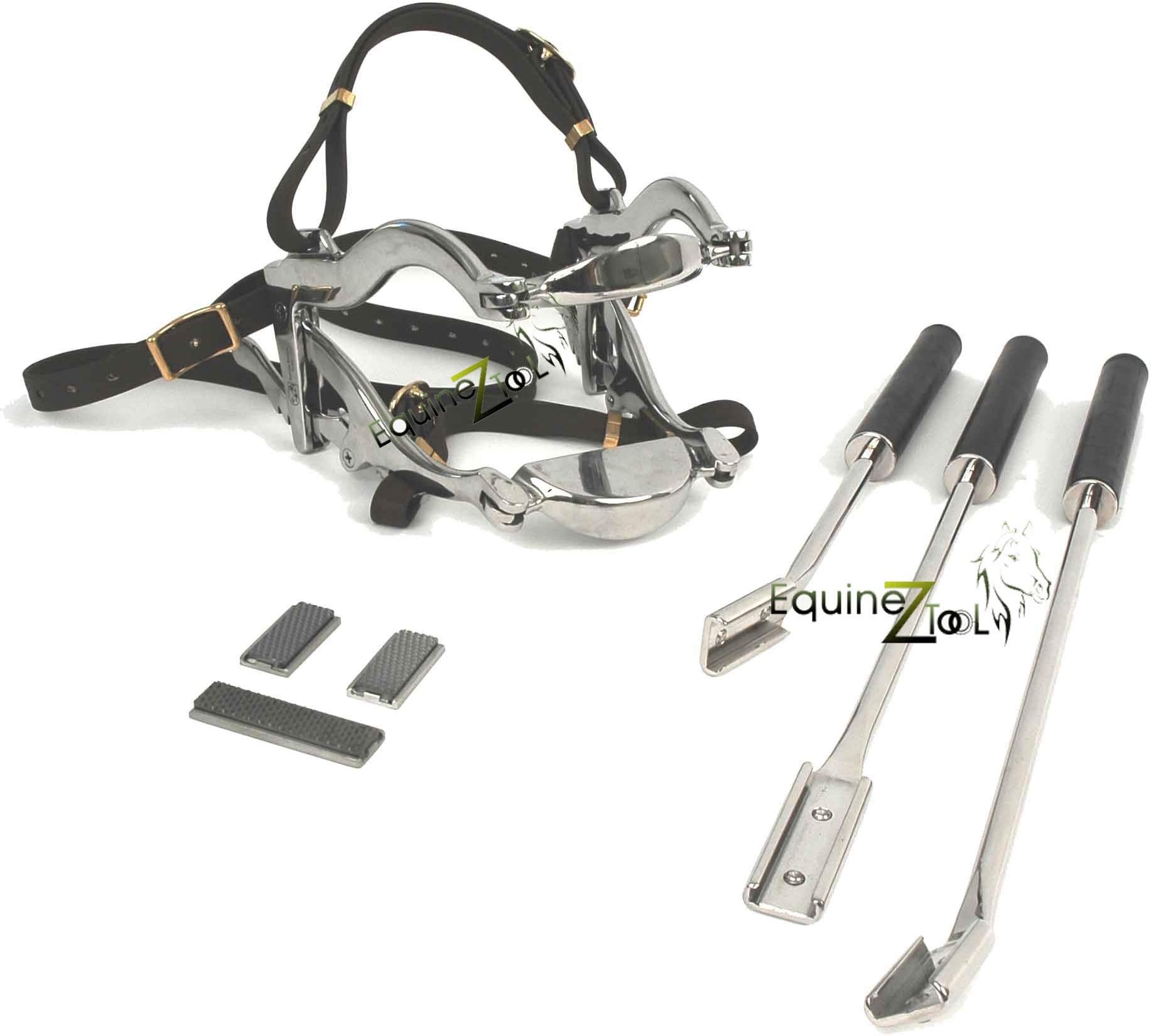 Equine Dental Kit 4000 Series–Horse Mouth Speculum Padded Leather Straps + 3 Floats with Blades–Stainless Steel Veterinary Instruments for Horse Teeth Floating,Equine Oral Care Tools Set