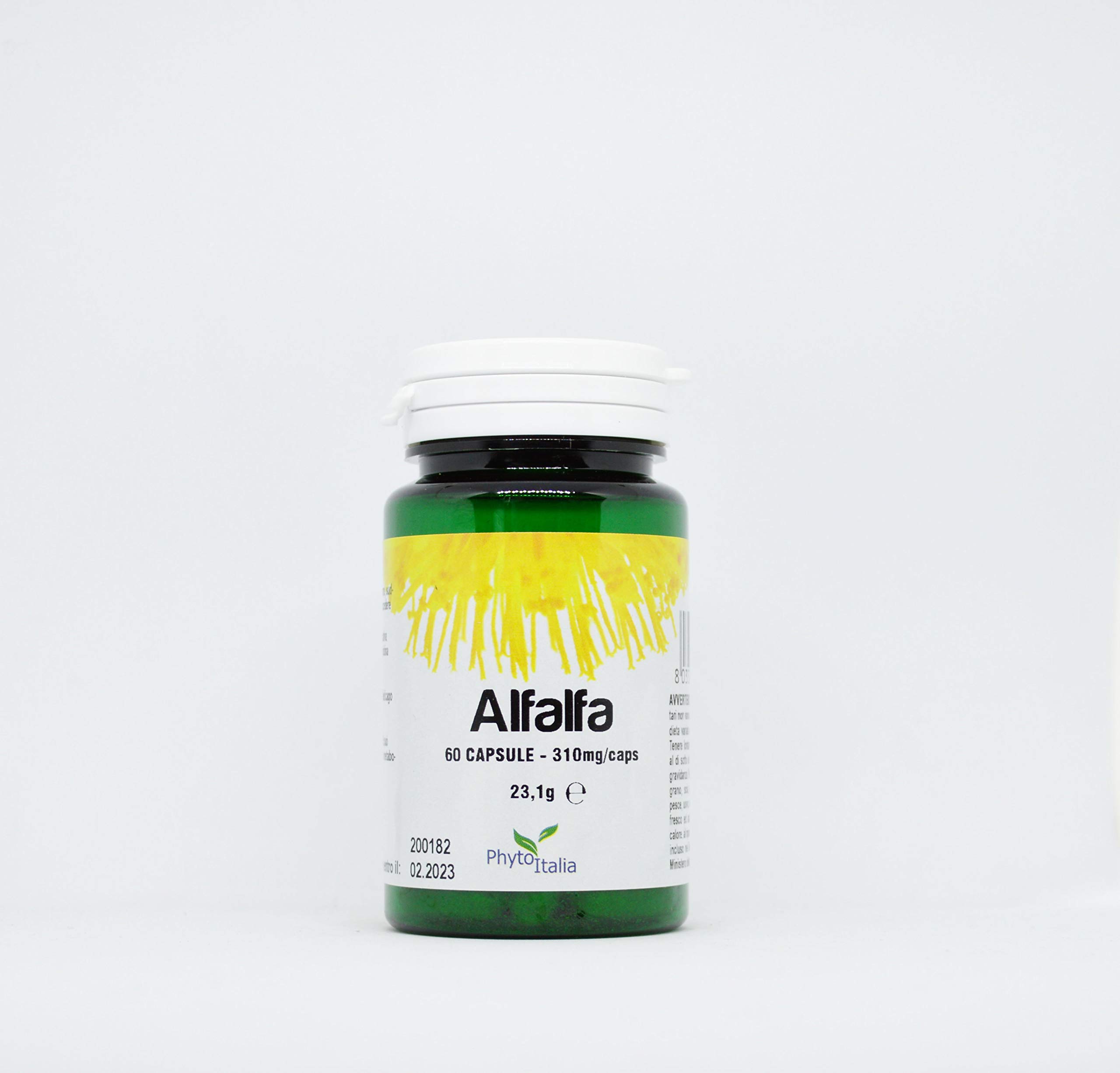 Alfalfa - 4