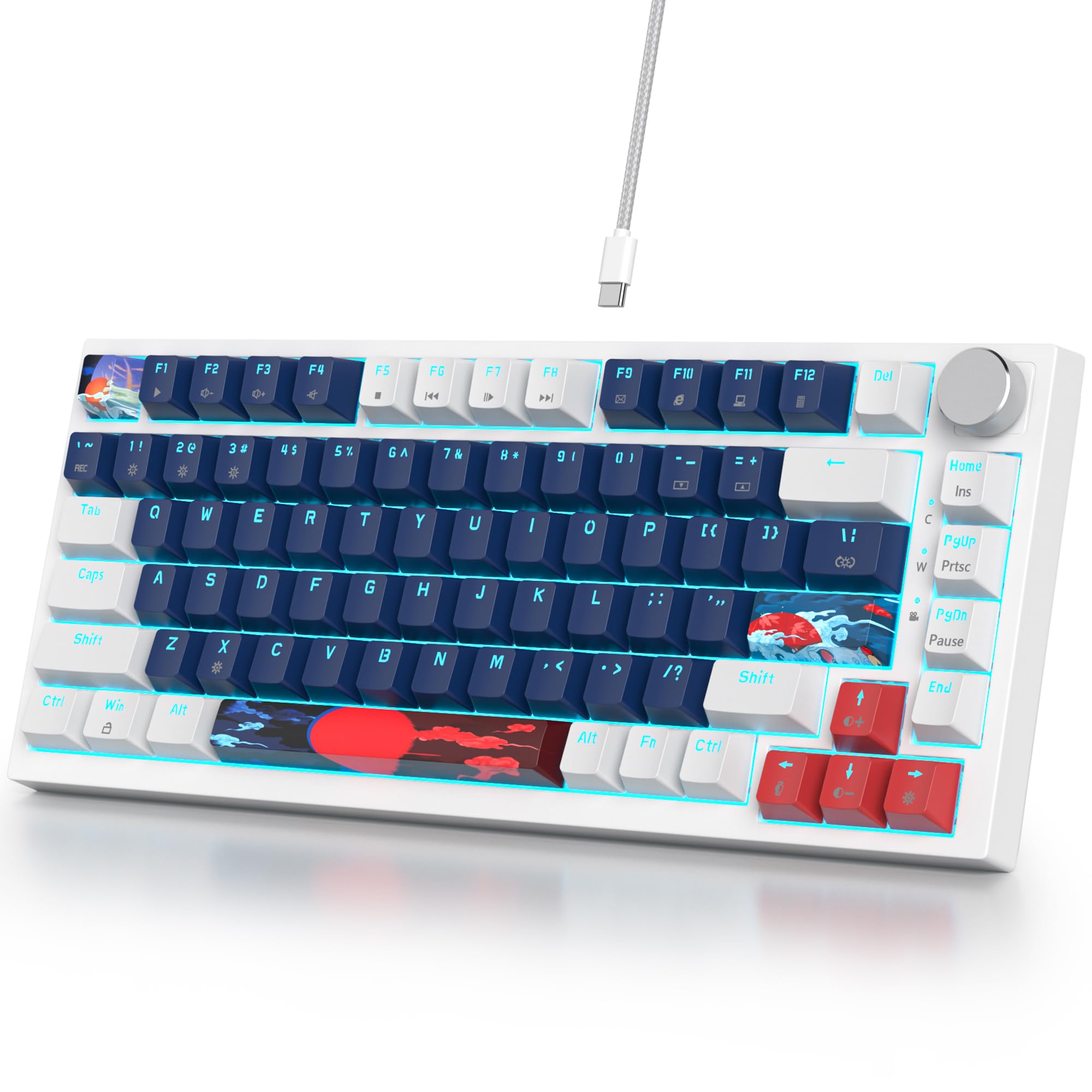 Amazon.com: Guffercty kred 75% Percent Blue Wired Keyboard Gasket