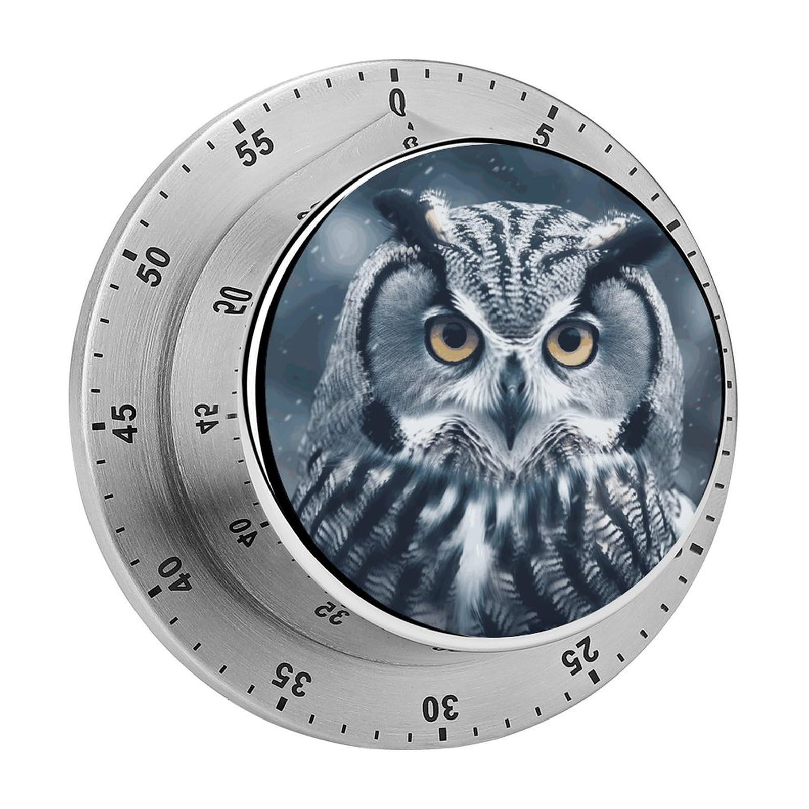 60 Minute Wind Up Timer, Visual Mechanical Timer with Loud Alarm, Grey and White Owl Kitchen Timers for Cooking - No Batteries Required - Magnetic Backing, Exquisite Stainless Steel Body