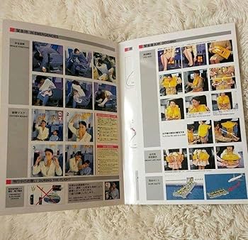 Amazon.co.jp: 日本航空JALB747-LRSR 安全のしおり離着陸