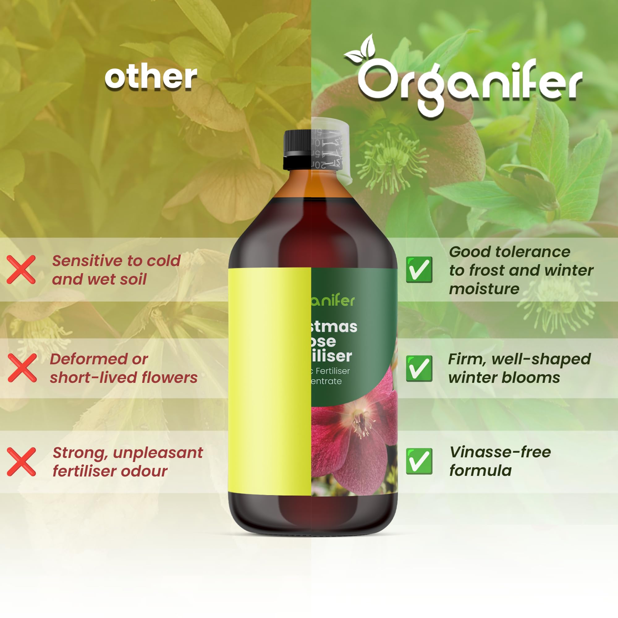 Fertilizante Líquido - 3x1L - Para Rosas De Navidad - NPK 3-4-3 | Plantas Invernal Robusta - Organifer
