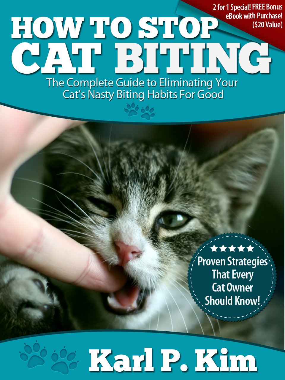 How to Stop Cat Biting The Complete Guide To Eliminating Your Cat’s