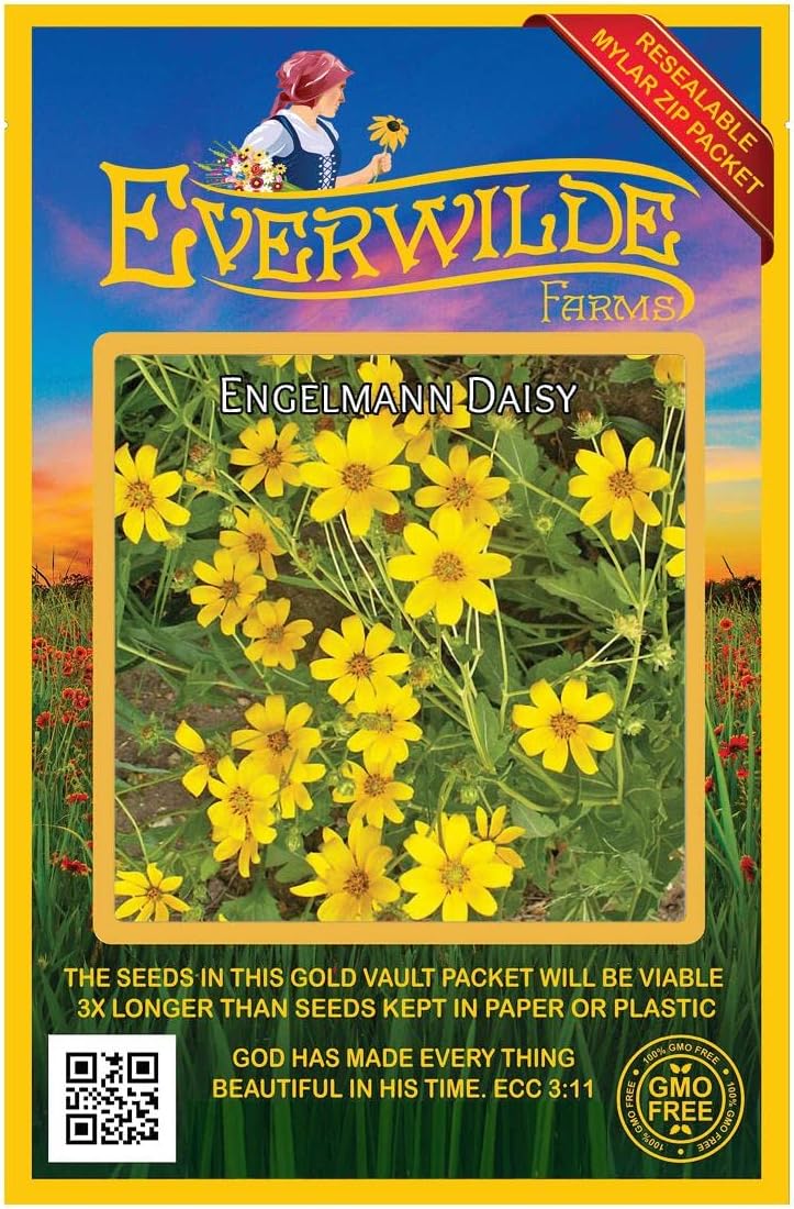 Everwilde Farms - 1/4 Lb Engelmann Daisy Native Wildflower Seeds - Gold Vault