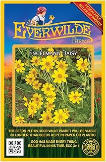 Everwilde Farms - 200 Engelmann Daisy Native Wildflower Seeds - Gold Vault Jumbo Seed Packet