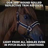 Vista 7 de Derby Originals Desert Rose Collection - Caballos de caballos reflectantes de seguridad con cuerdas de plomo a juego