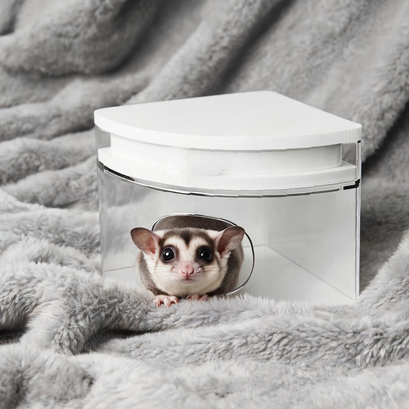 Casetta Piccoli Animali Rifugio Relax Anti-Incastro Animali Domestici | Rifugio Criceti Topi Lemming Furetti Scoiattoli Conigli Nani Gerbilli Cincillà Criceto Orsetto Seta Dorato
