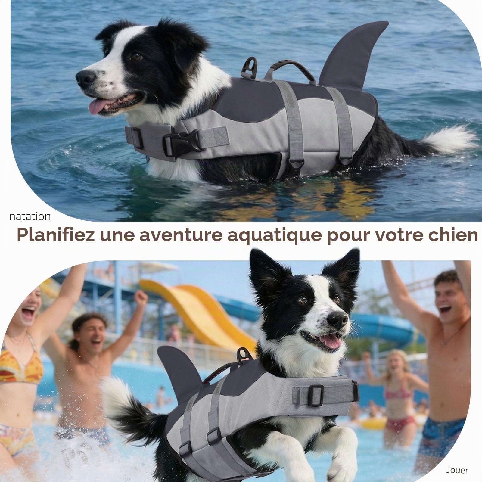 CITÉTOILE Gilet de Sauvetage pour Chien, Gilet de Sauvetage pour Chien avec poignée et réfléchissant, avec Une Bonne flottabilité, léger et sûr pour Les Sports Nautiques, Gris, XS
