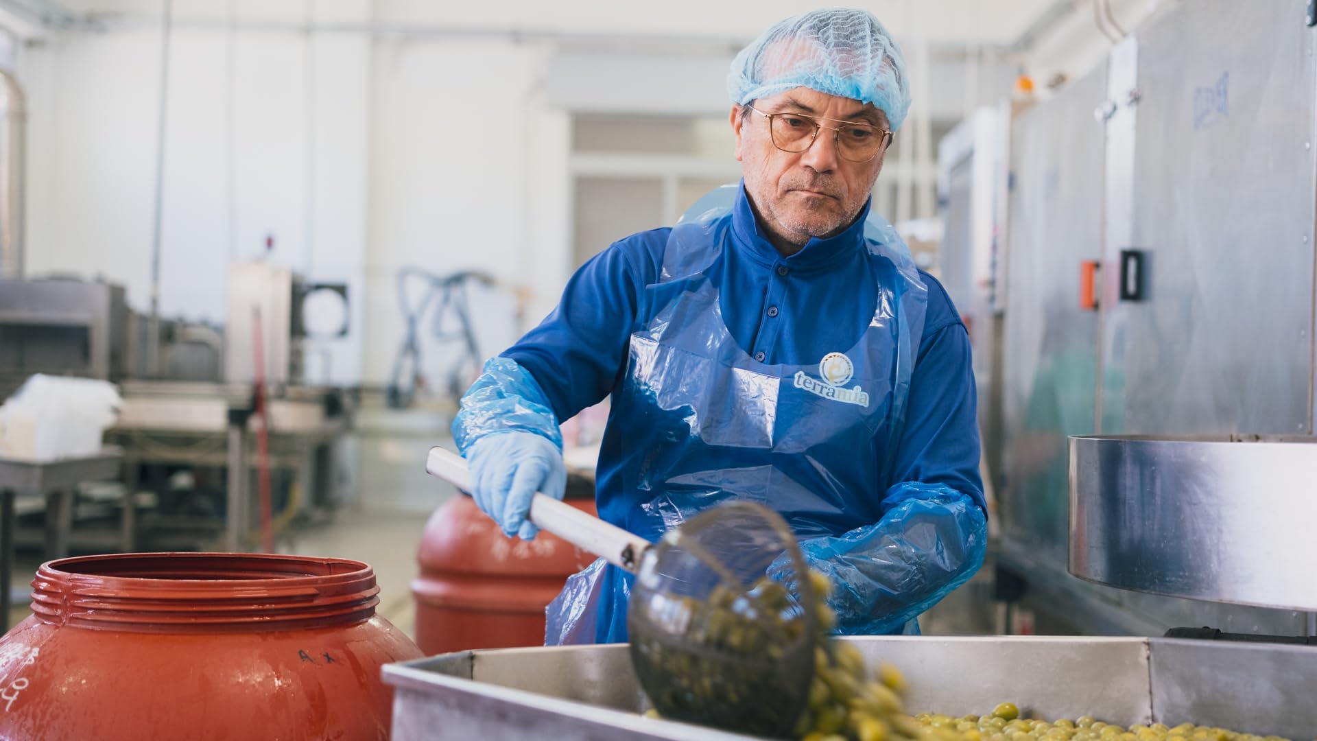 Terramia Olive Verdi Condite Siciliane Varietà "Giarraffa" – Prodotto Artigianale da Azienda Premiata Ercole Olivario e Monna Oliva, Formato Scorta 2kg (4 Buste x 500g)