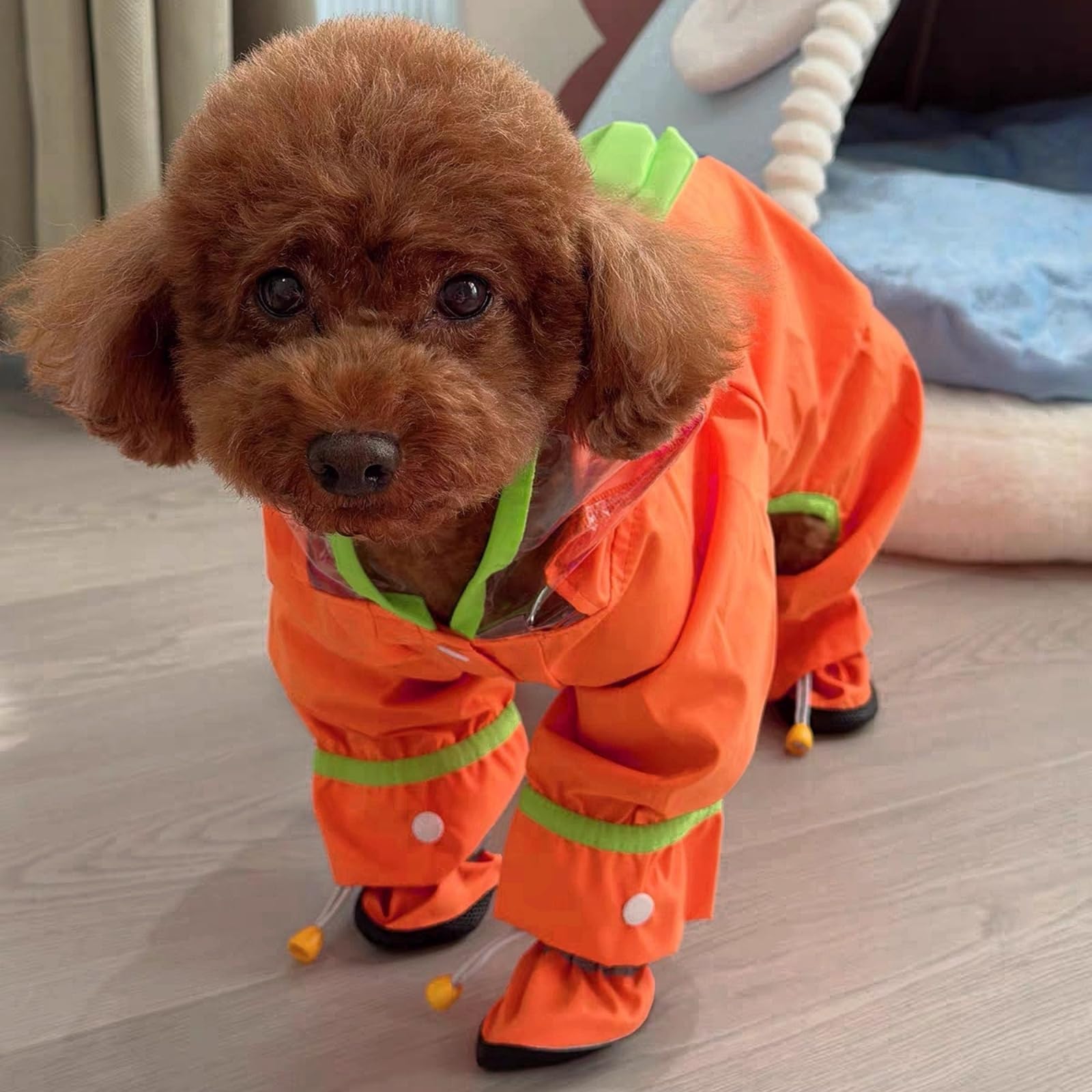 Manteau de pluie imperméable pour chien avec capuche, chaussures et queue amovibles, manteau de pluie avec sangle réfléchissante, veste de pluie légère avec trou pour laisse (carotte orange, taille M)