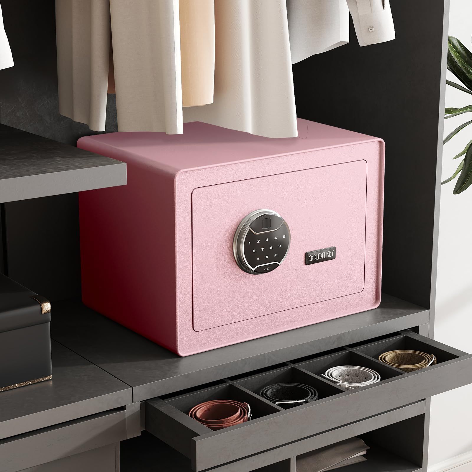 GoldenKey Cassaforte per impronte digitali rosa, cassaforte di sicurezza biometrica da 1,6 m Cu Ft con tastiera touchscreen, cassaforte per gioielli per contanti, cassaforte impermeabile ignifuga per