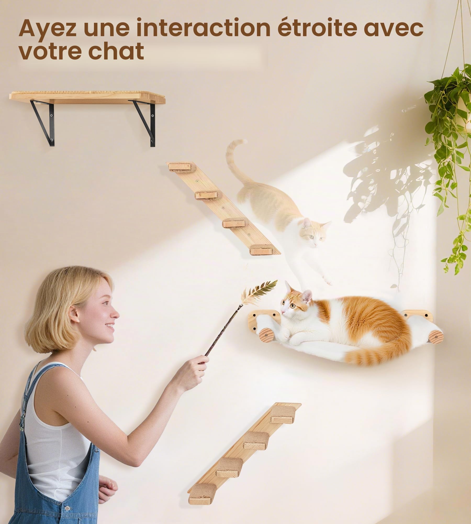 Mur d'escalade pour Chats - Hamac Mural pour Chat - Lit d'escalade en Bois de pin