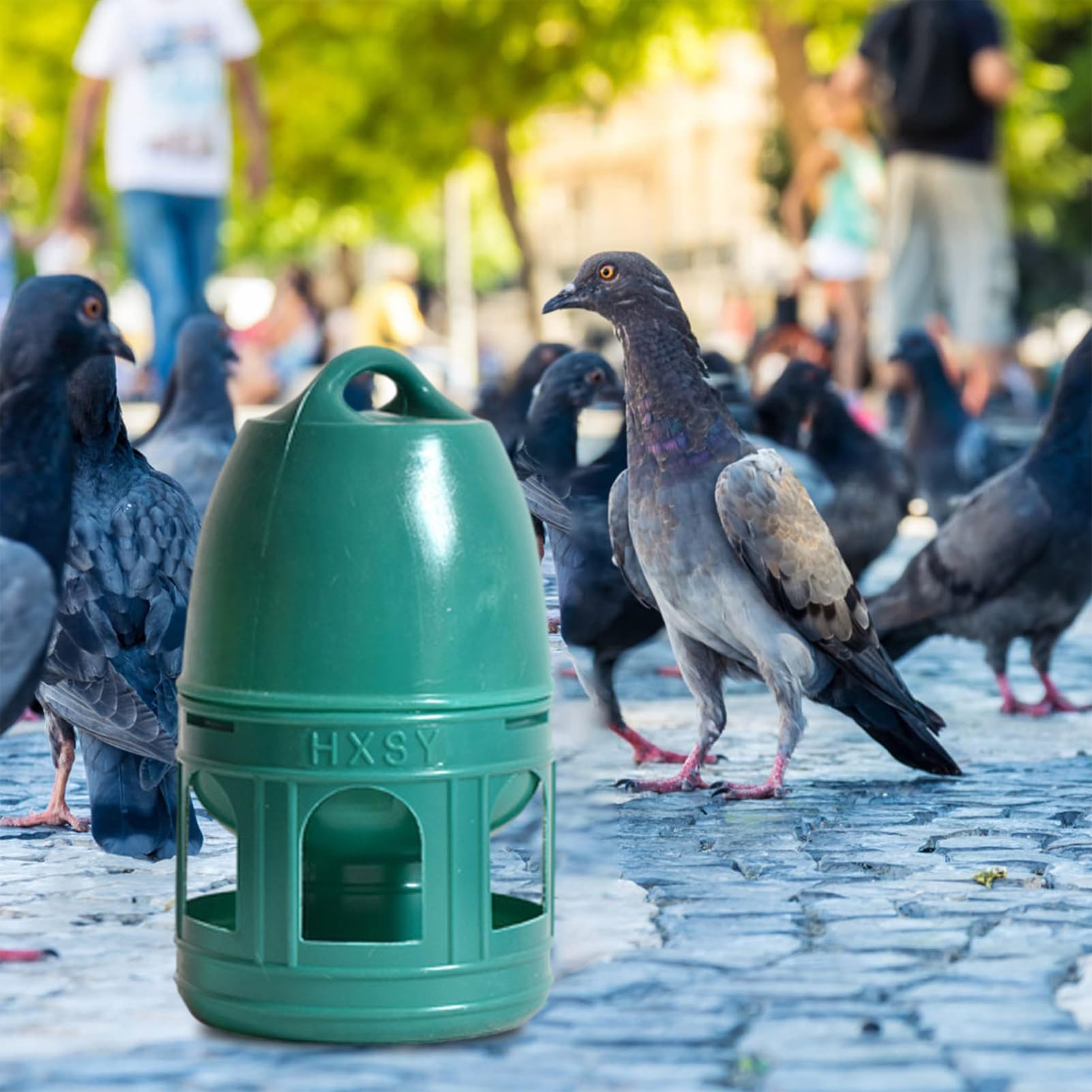 Distributeur d'eau pour Pigeons, Abreuvoir pour Pigeons | Distributeur de mangeoire à Oiseaux pour récipient à Eau pour - Poignée supérieure, Large Ouverture, Fournitures pour Animaux